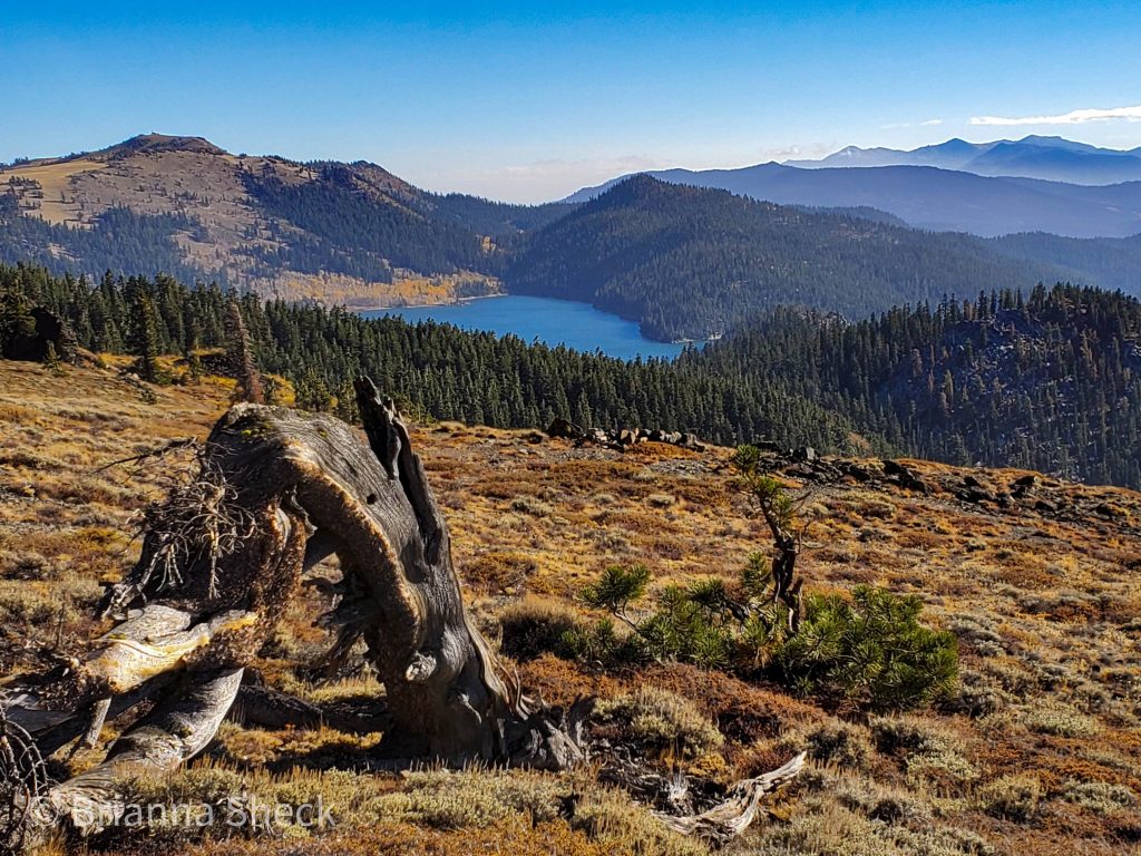 Marlette Lake from the Tahoe Rim Trail to Herlan Peak