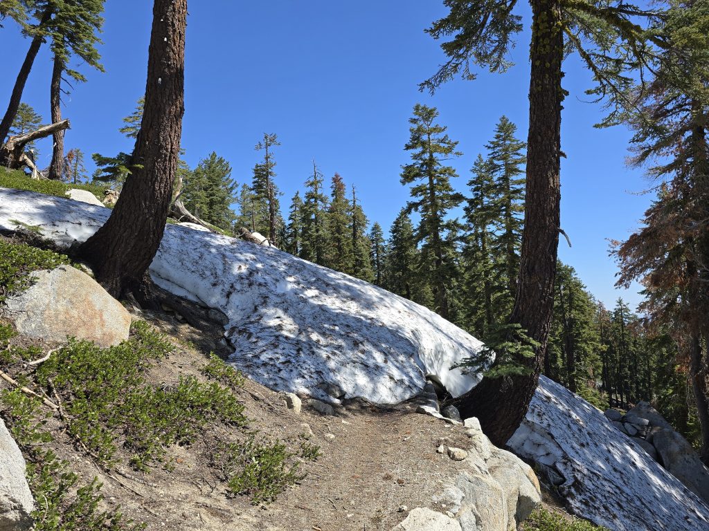 Snow impeding the Tahoe Rim Trail