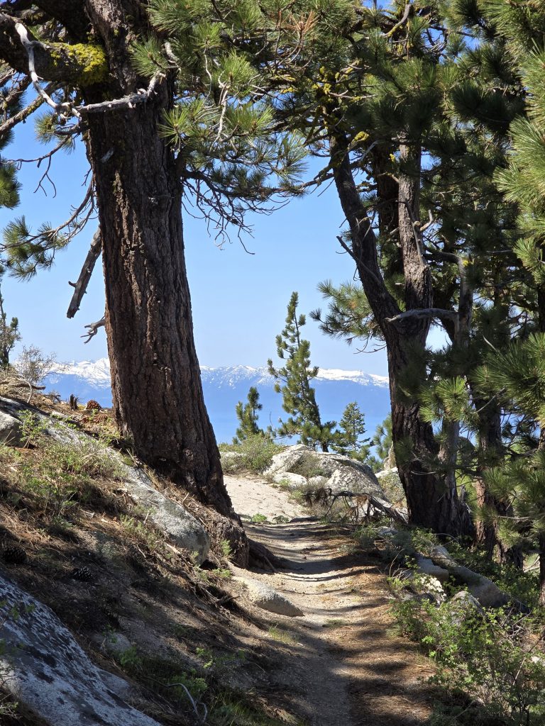 Peeks of Lake Tahoe and Sierra mountains from the Tahoe Rim Trail