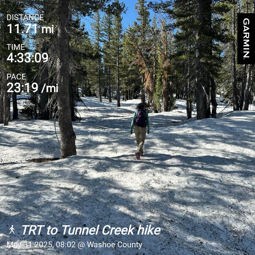 Tahoe Meadows to Tunnel Creek on the TRT hike stats