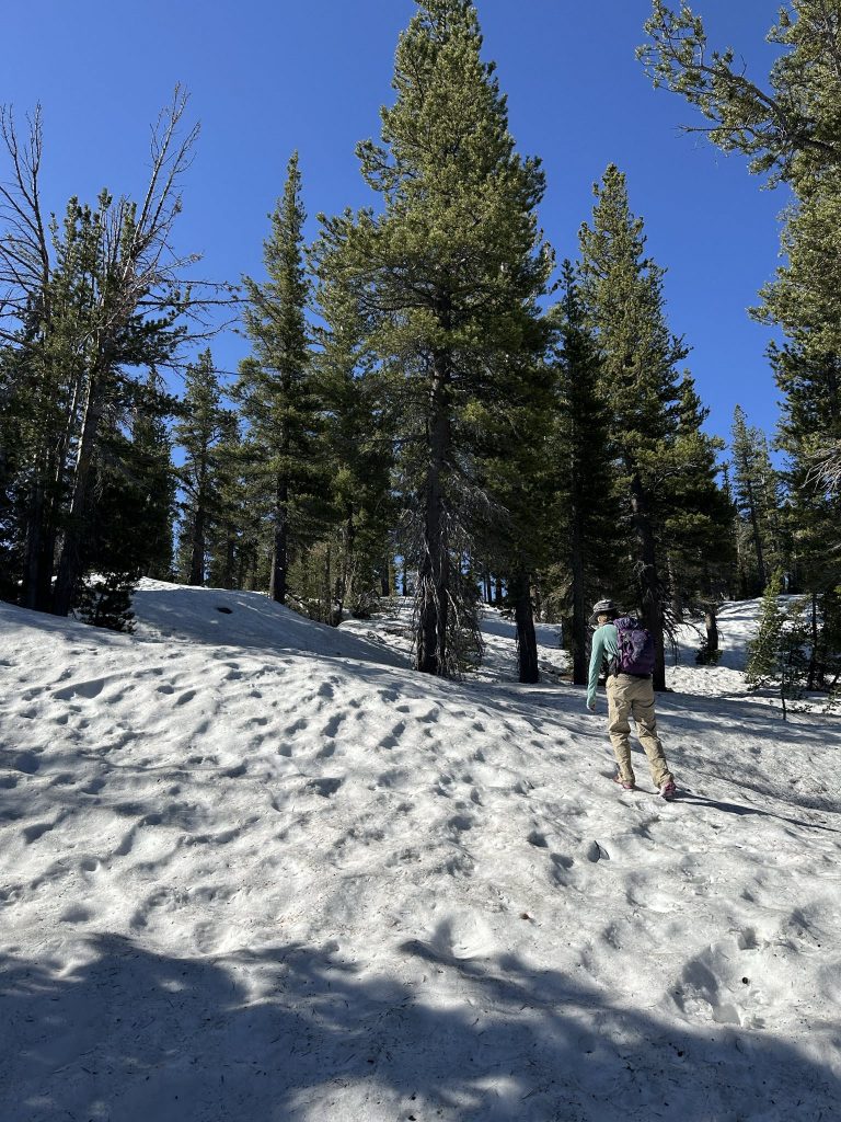 Snow on Tahoe Rim Trail