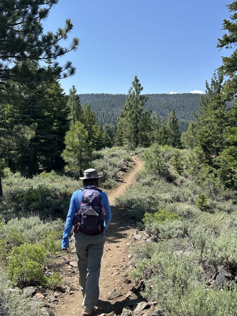 Hiking on the Tahoe Rim Trail from Spooner to Kingsbury