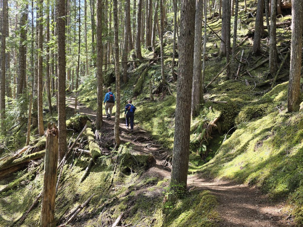 Hiking up the trail to Lake Angeles Olympic National Park Pacific Northwest