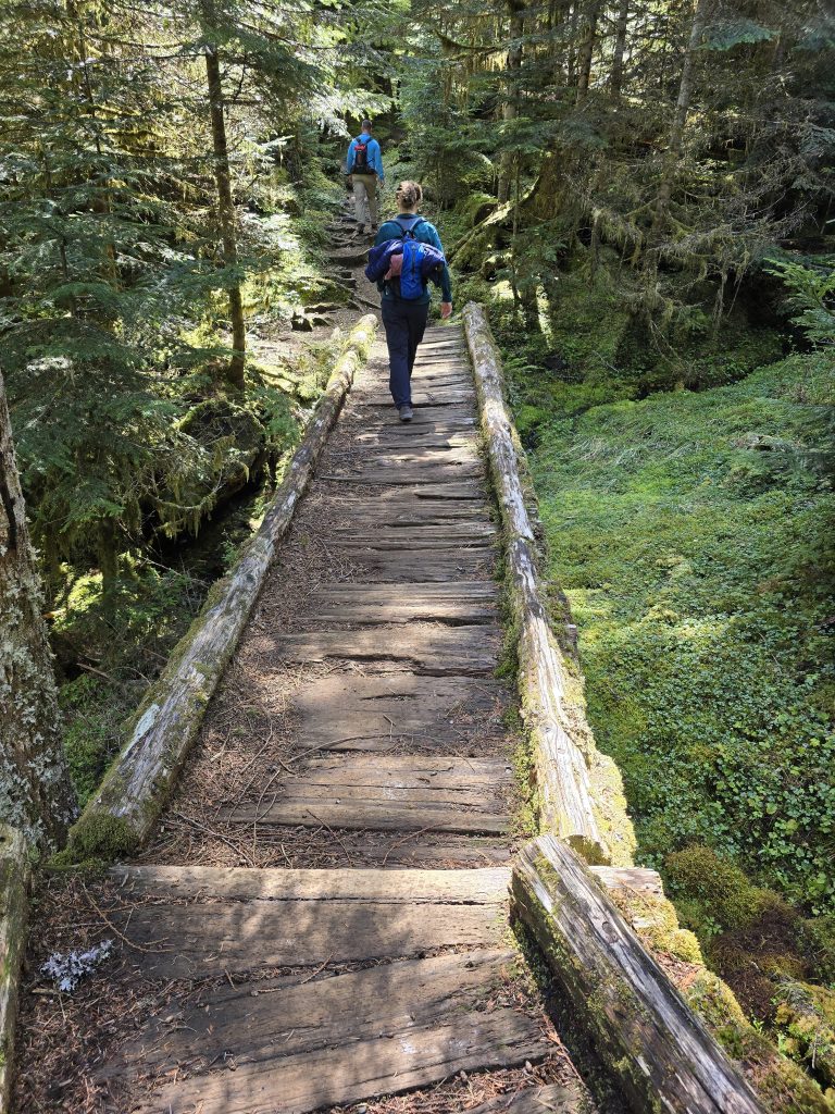 Hiking on the boardwalk trail section for Lake Angeles hike Olympic National Park Pacific Northwest
