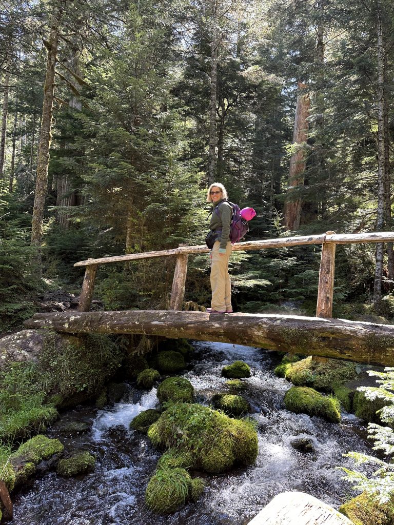 Bridge over creek on Lake Angeles hike Olympic National Park Pacific Northwest