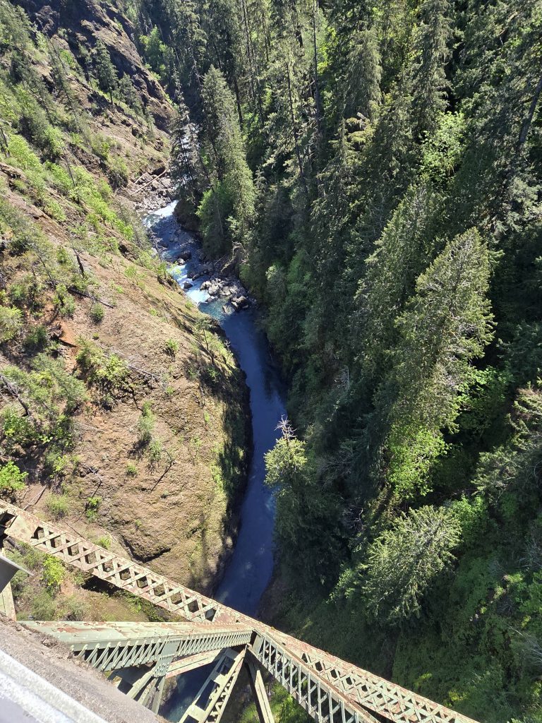Looking down from the High Steel Bridge over the South Fork Skokomish River Olympic National Park