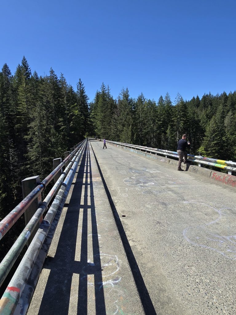 Standing on the High Steel Bridge over the South Fork Skokomish River Olympic National Park