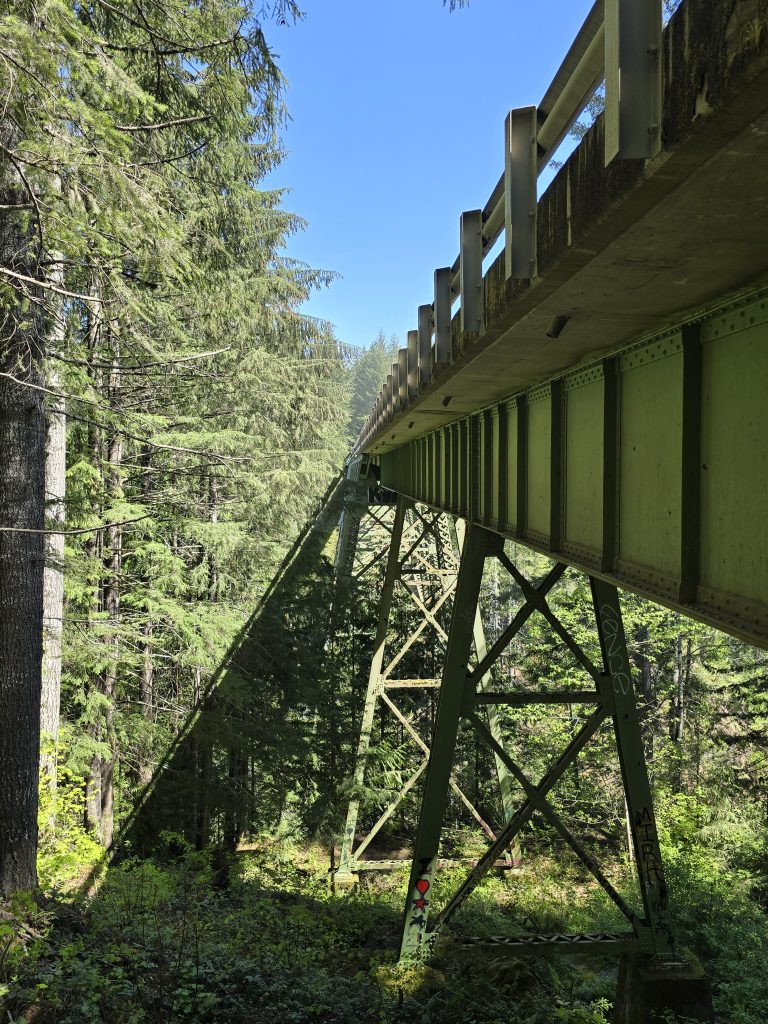 The High Steel Bridge girders in Olympic National Park