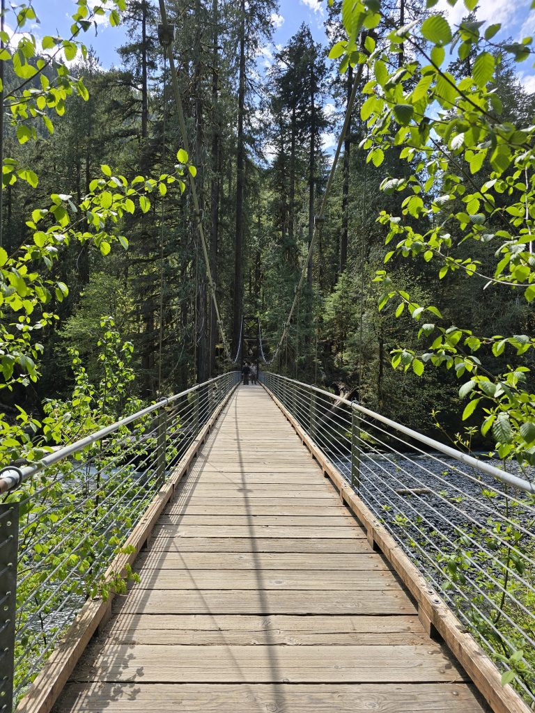 Suspension bridge at Staircase Rapids of North Fork Skokomish River