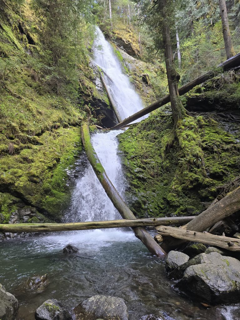 Murhut Falls Olympic National Park