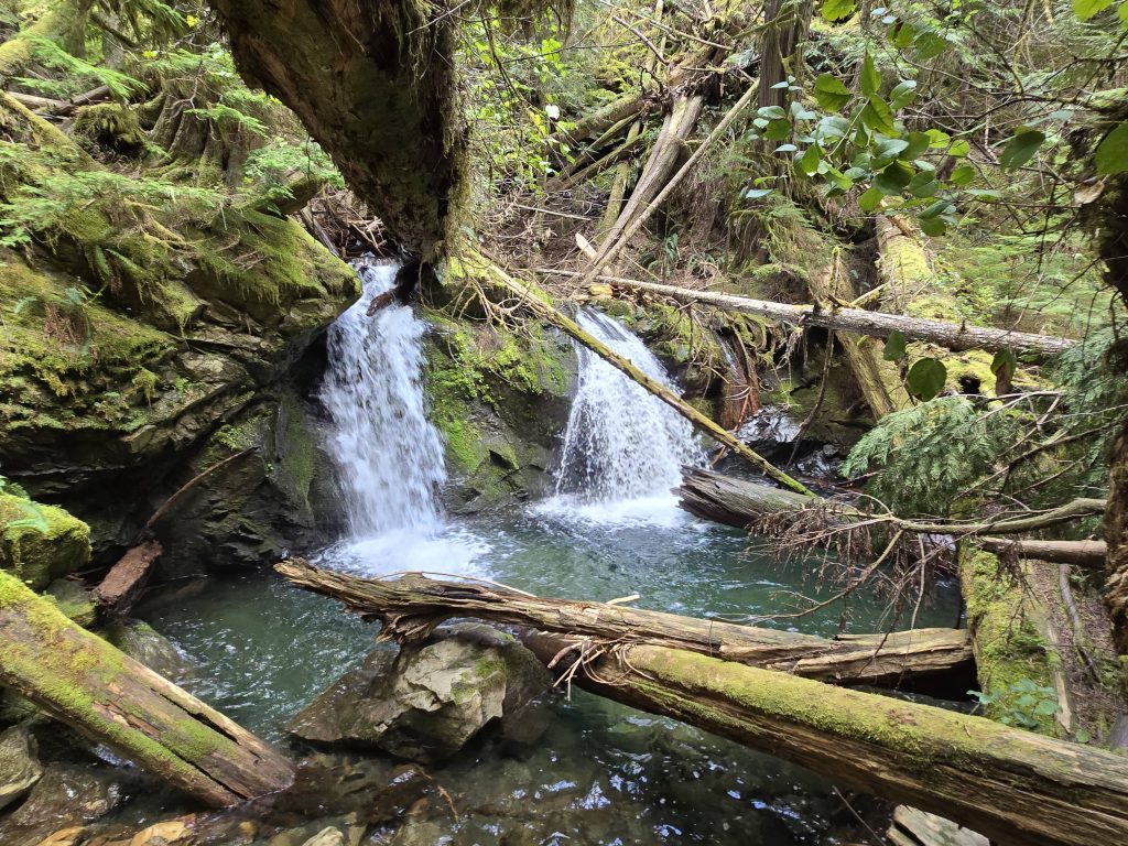 Secondary cascade at Murhut Falls Olympic National Park