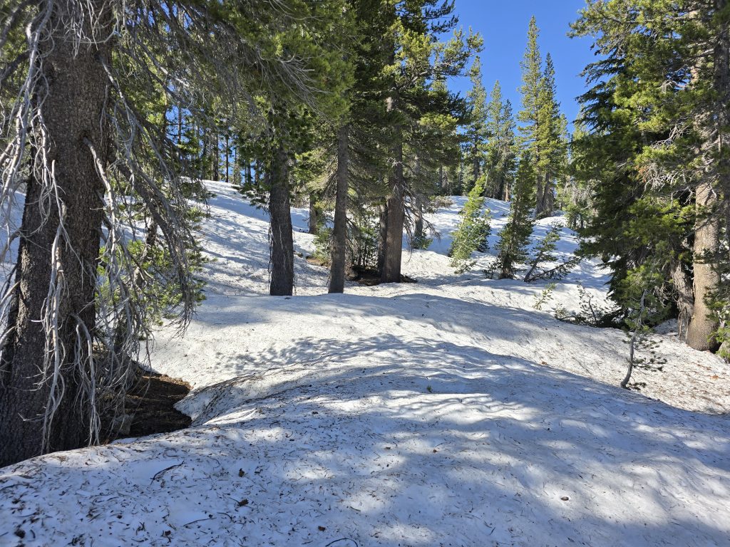 Snowy Tahoe Rim Trail