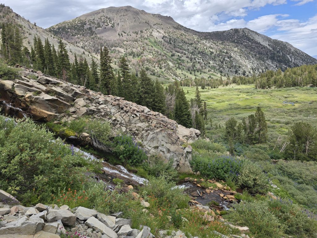 View of Mt Rose from above Galena Falls
