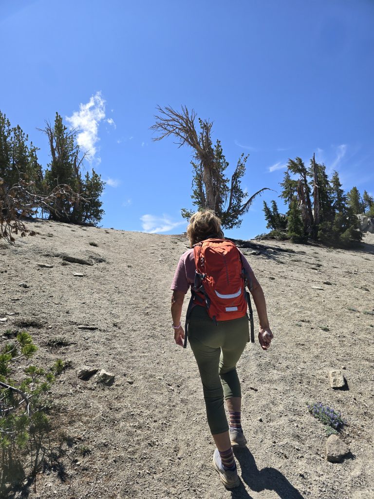 Approaching the Incline Peak summit