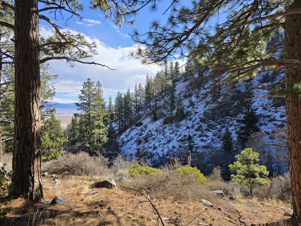 Snow on the shady side of the mountain from the Sierra Canyon Trail