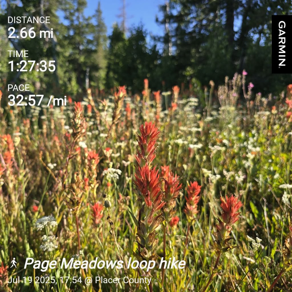 Page Meadows loop hike stats
