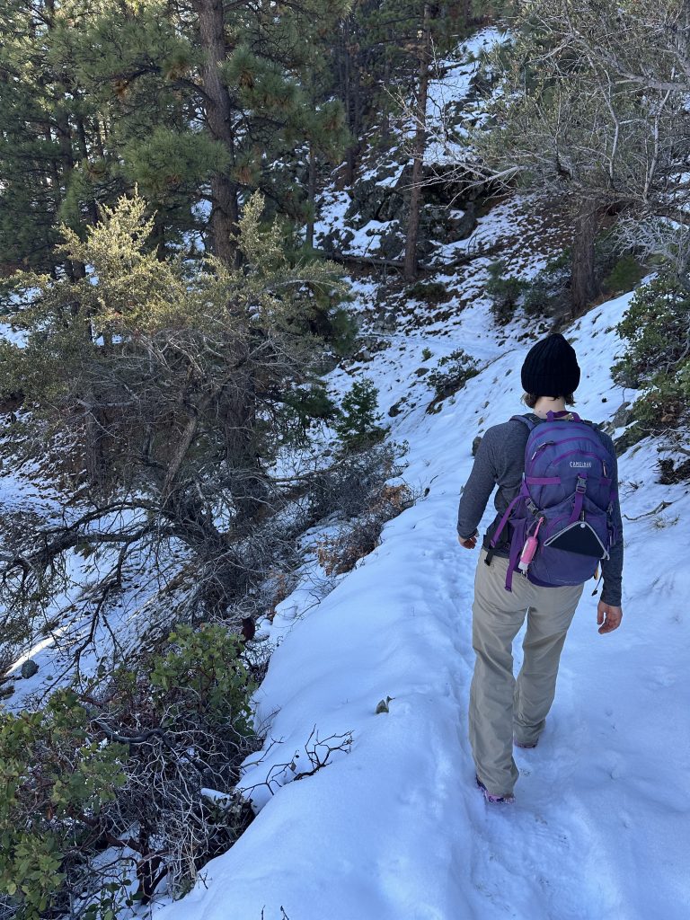 Descending through snow on the Sierra Canyon Trail