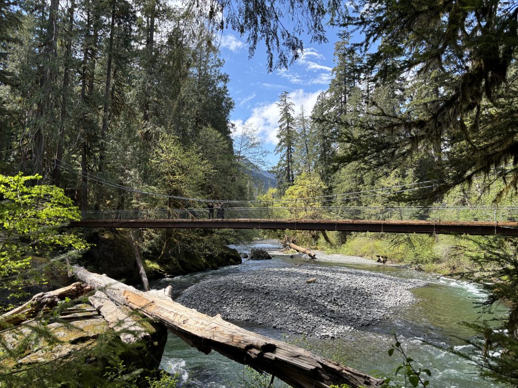 Suspension bridge at Staircase Rapids of North Fork Skokomish River