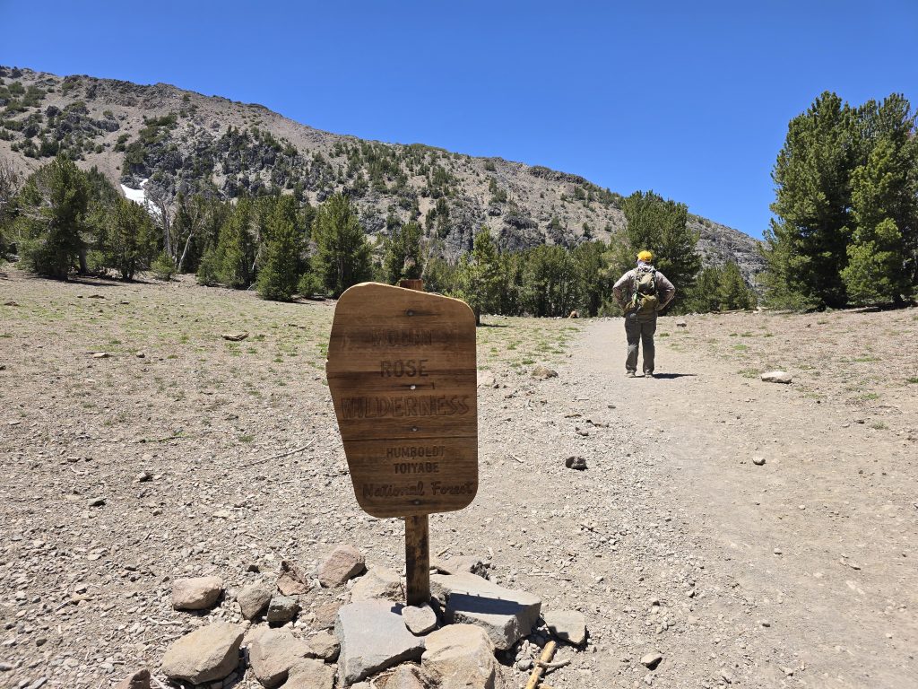 Mt. Rose Wilderness sign on the trail to Mt. Rose Summit