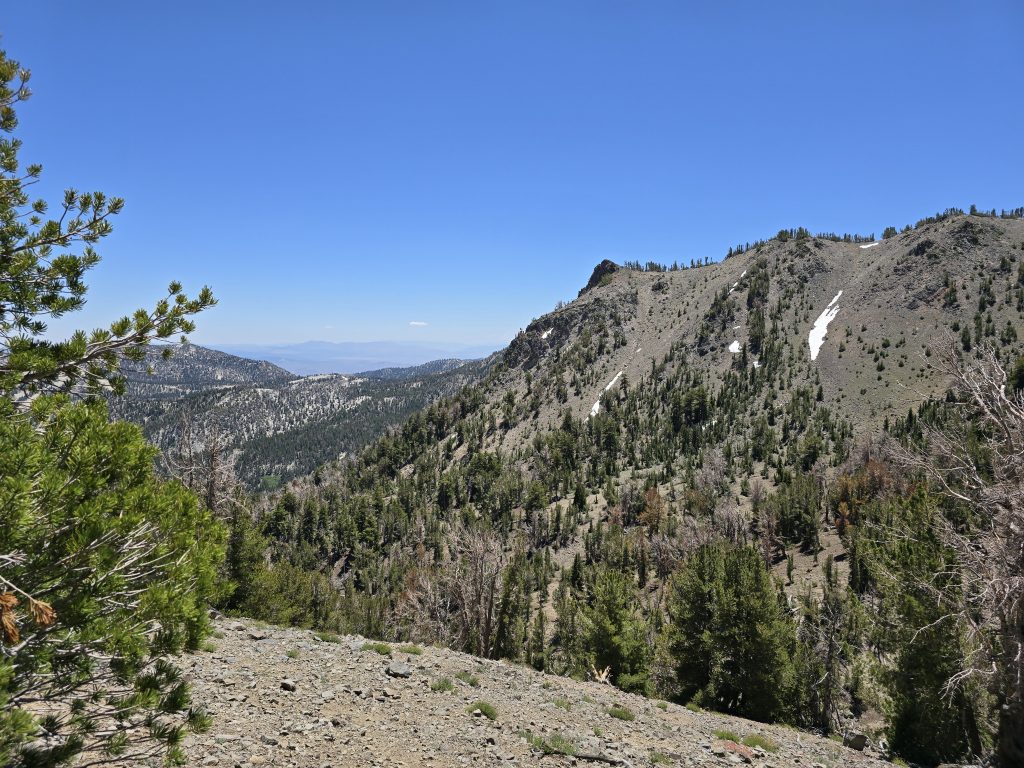 Views of Mt. Rose Wilderness from the trail to Mt. Rose Summit