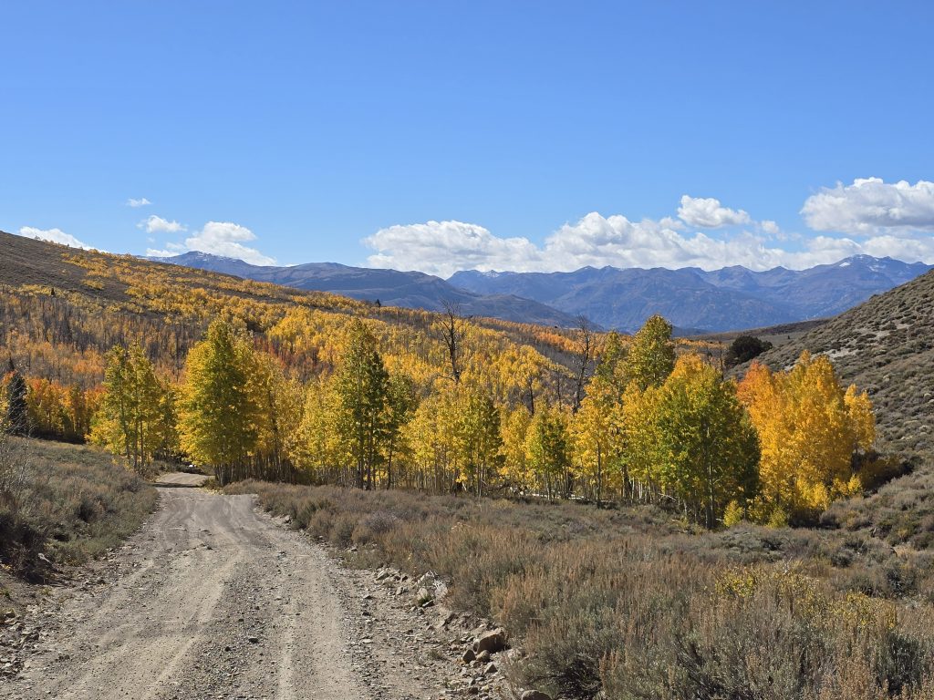 Lobdell Lake Road fall colors