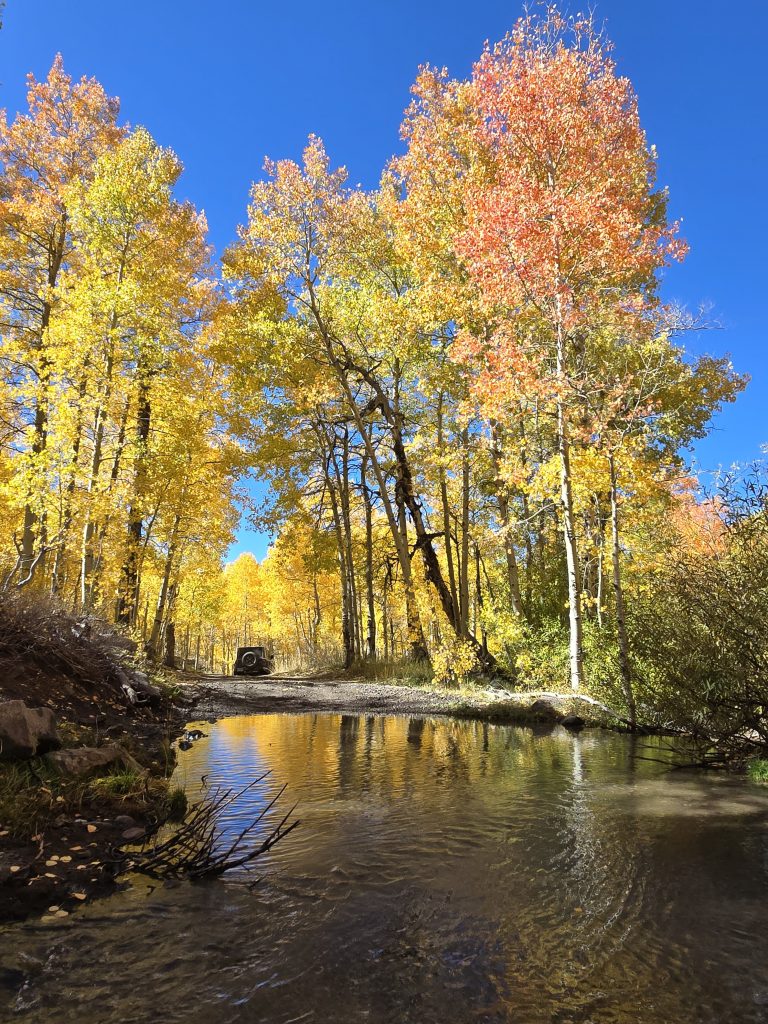 A puddle on Lobdell Lake Road surrounded by fall colors