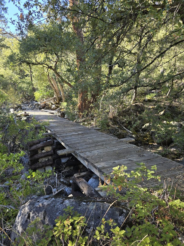 Footbridge on the Salt Springs Reservoir Trail hike