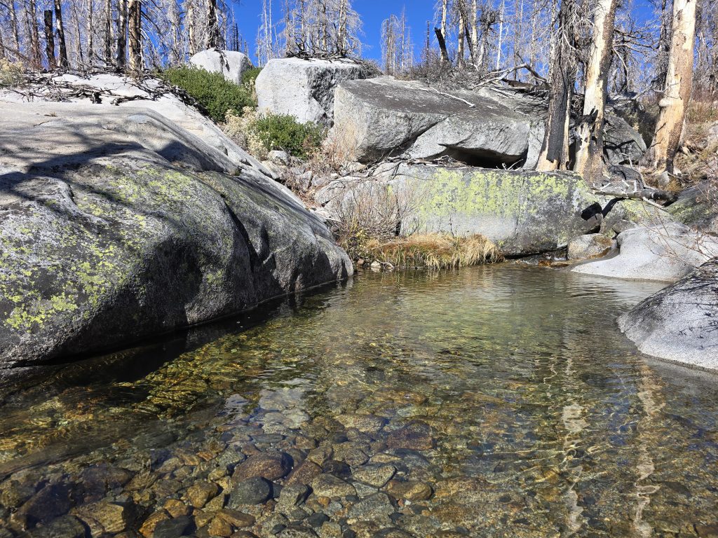 A pool on Lyons Creek