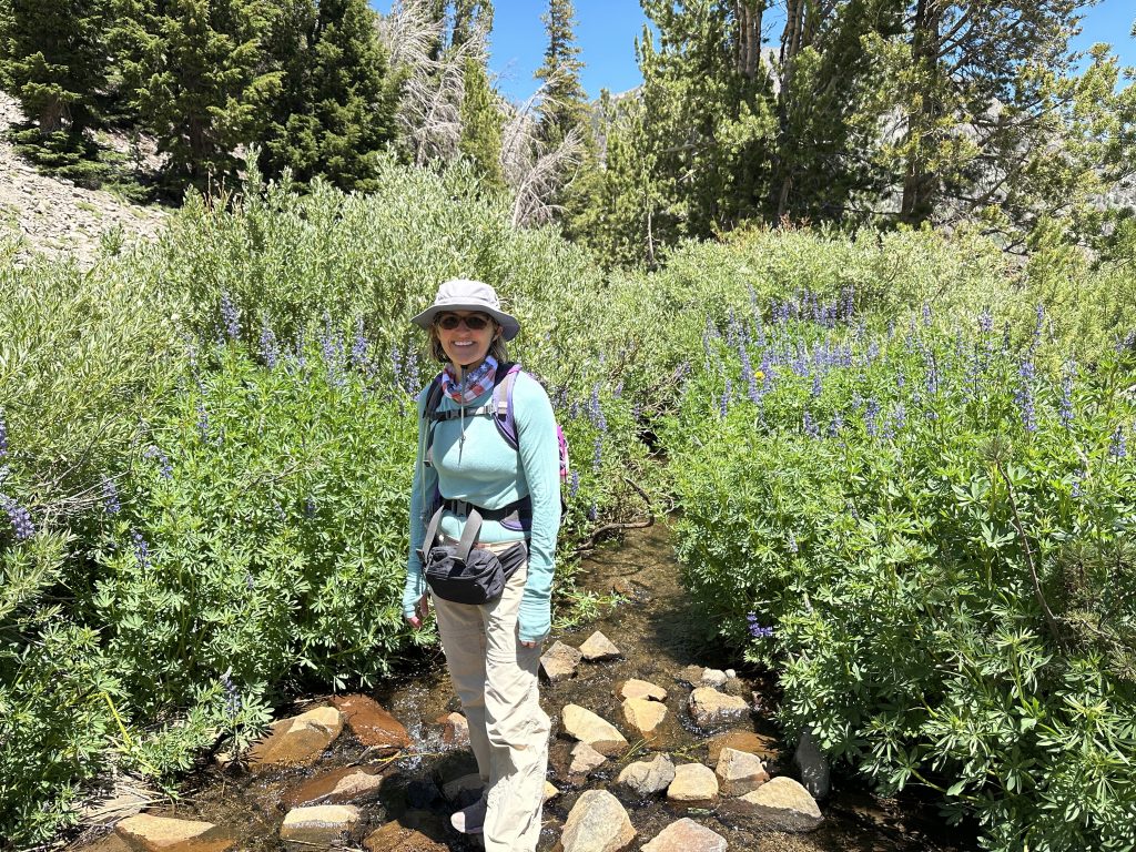 Crossing Galena Creek on the hike to Mt. Rose Summit