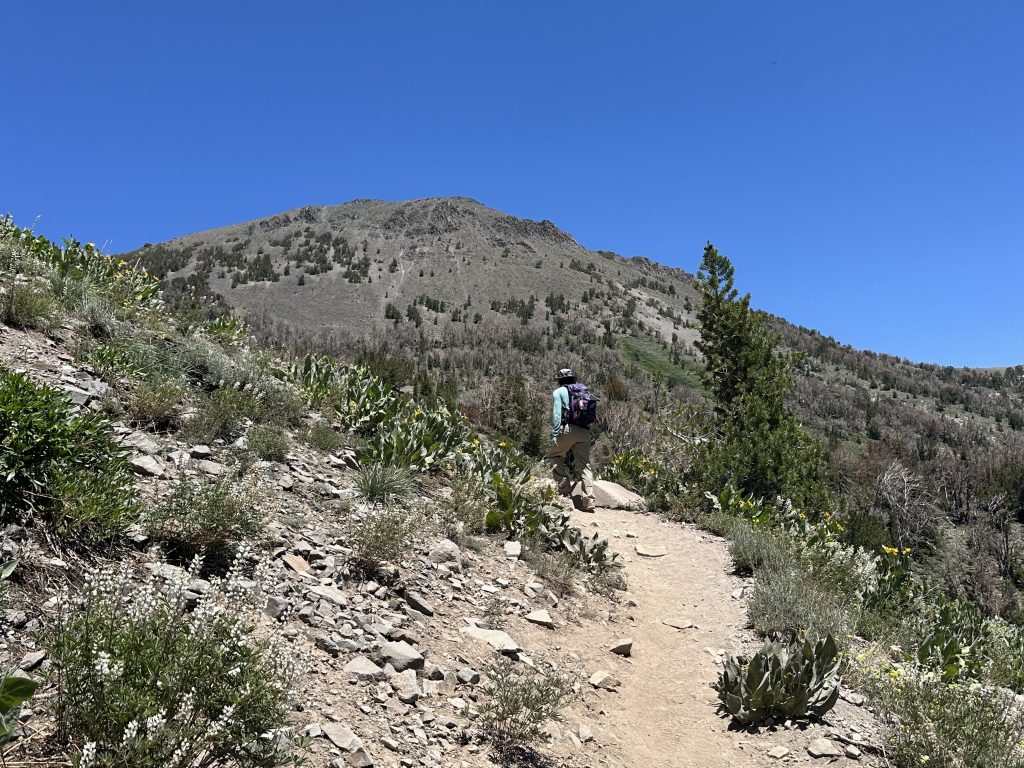 Ascending up the trail to Mt. Rose with Mt. Rose in the distance