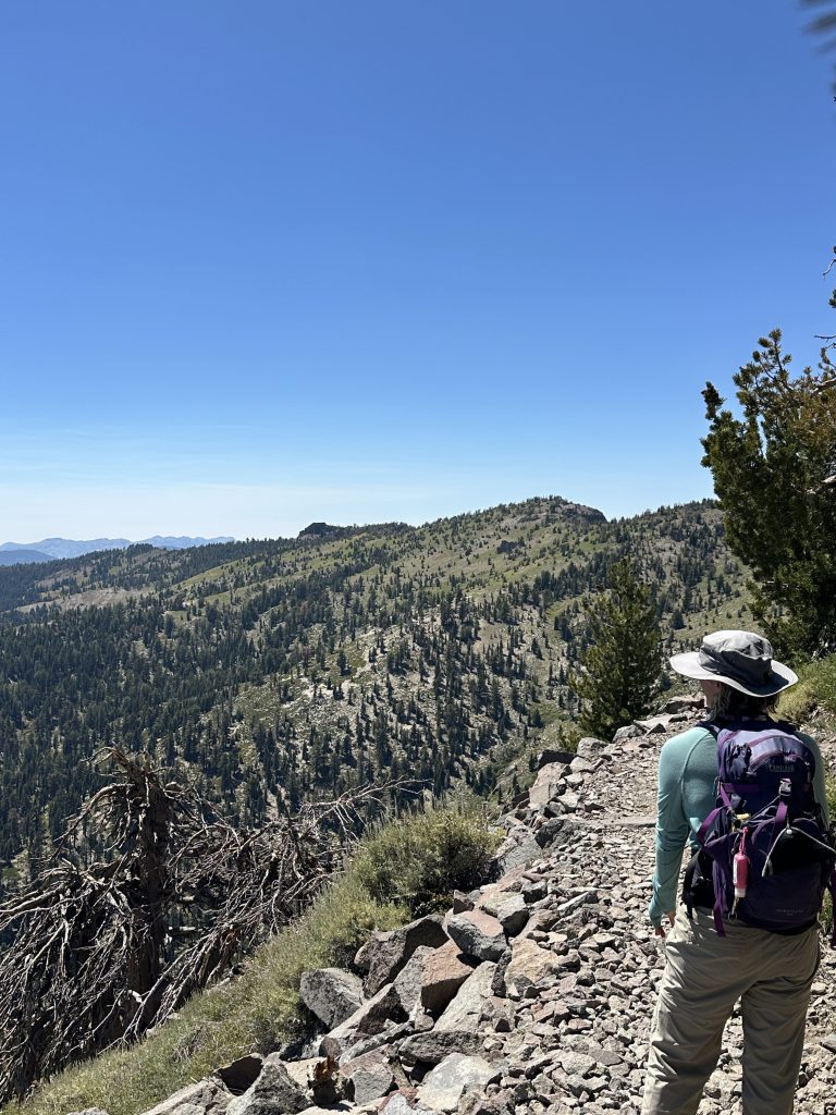 Tahoe Rim Trail on hike to Rifle Peak