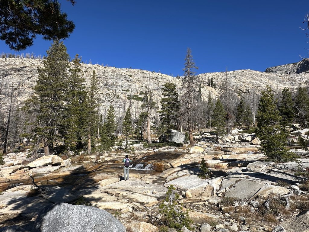 Taking photos of Lyons Creek on the hike to Lyons Lake