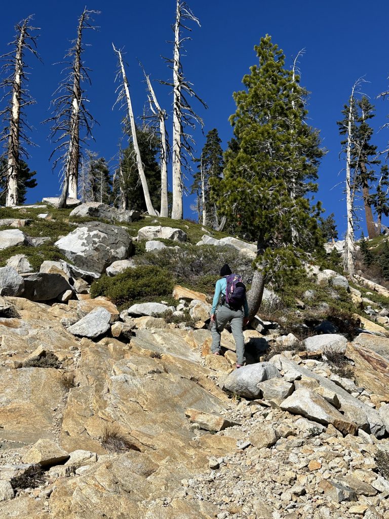 Ascending the rocky trail on the hike to Lyons Lake