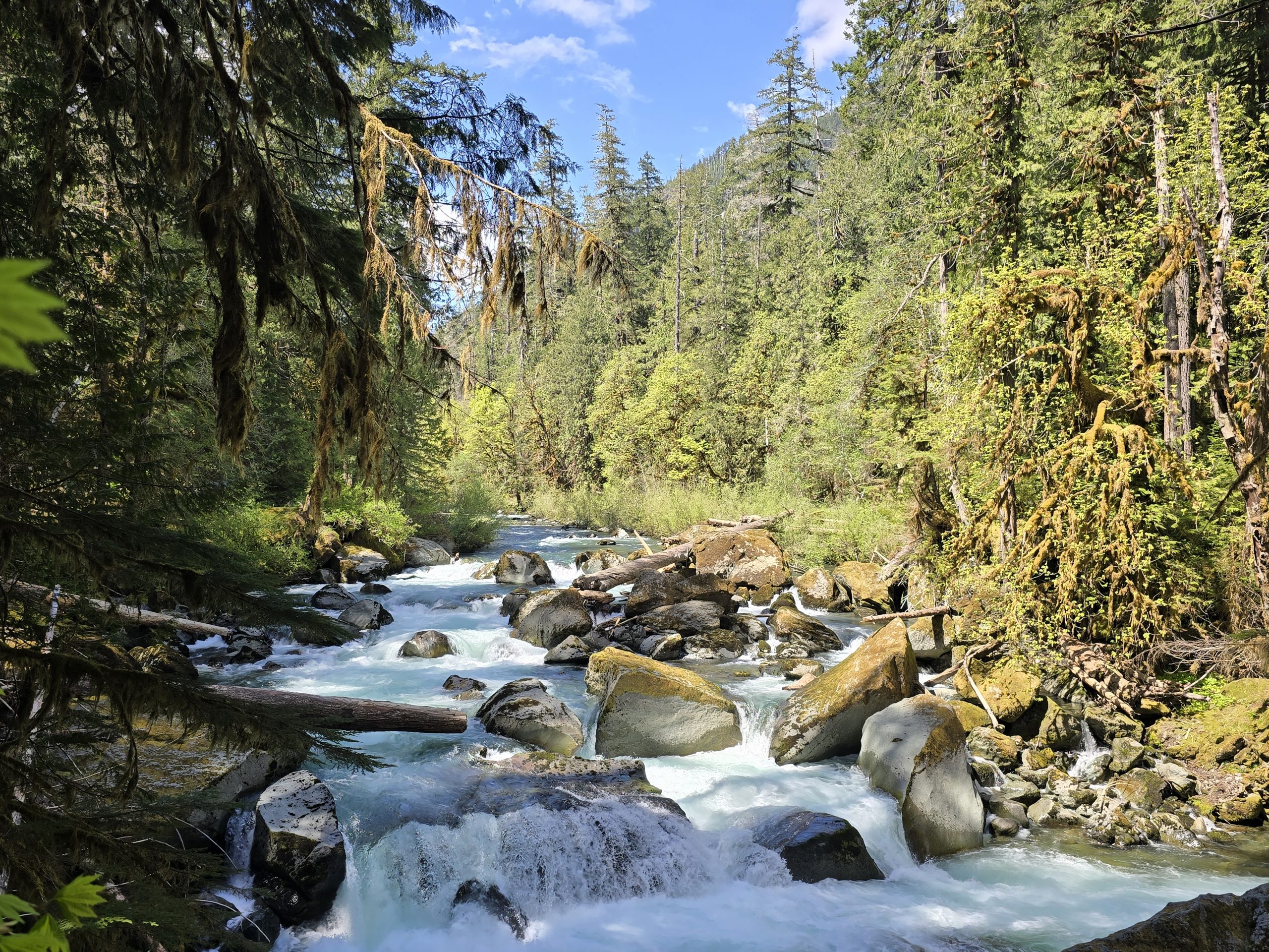 Olympic National Park: High Steel Bridge, Staircase Rapids Hike & Murhut Falls Hike