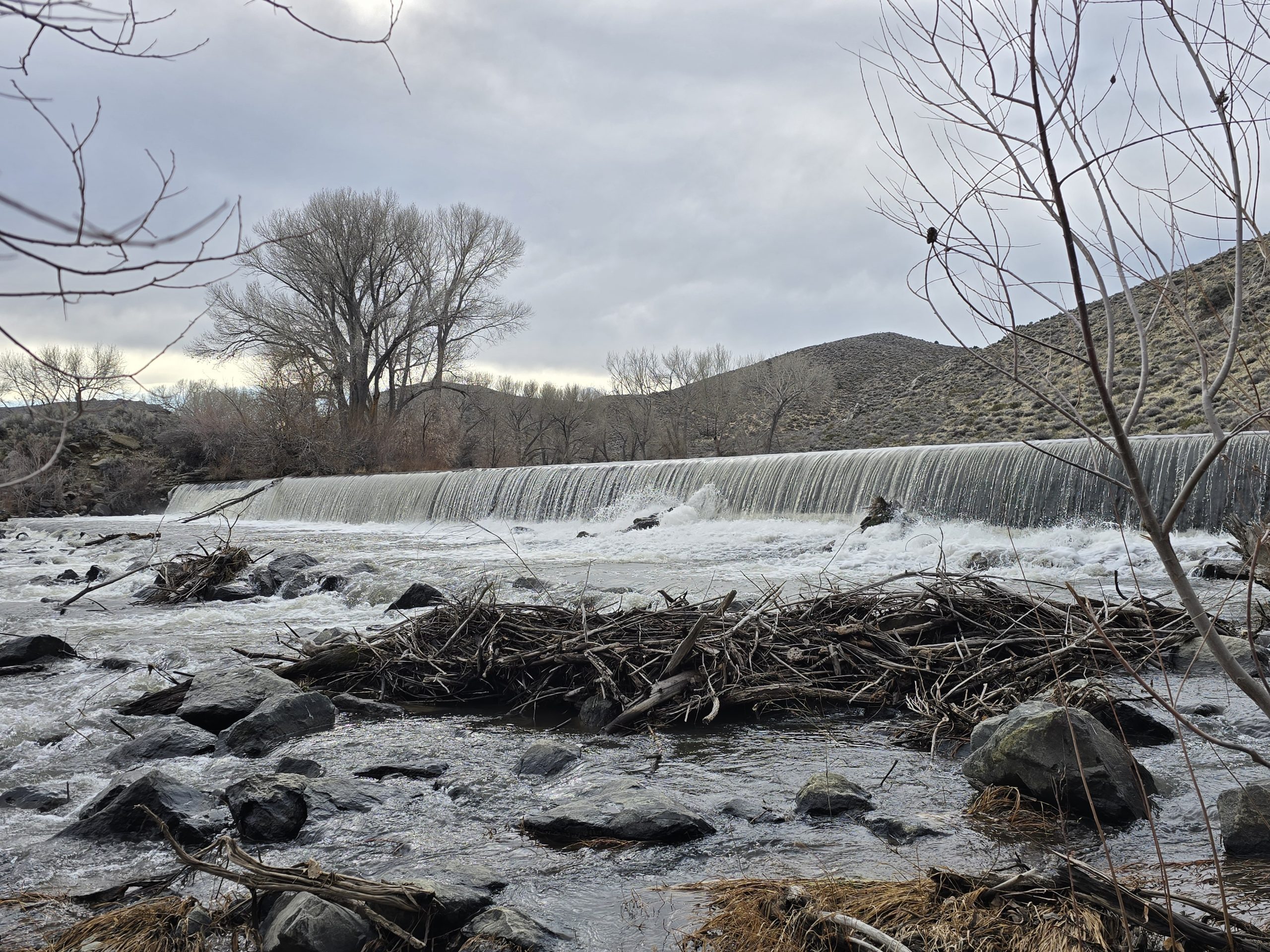 Places for Winter Hiking in Carson City