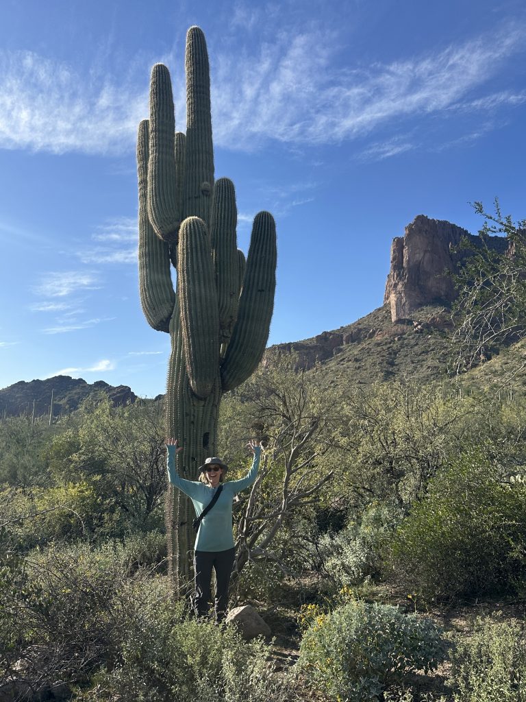 Standing in front of a saguaro cactus on the hike to Wave Cave