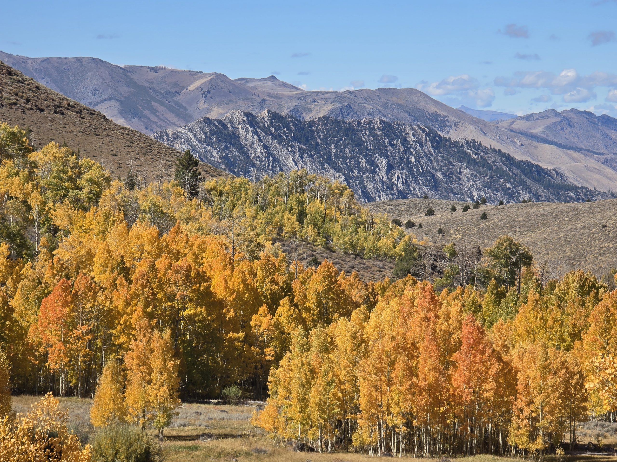 Lobdell Lake Road Fall Colors and Jeeping to Mt. Patterson