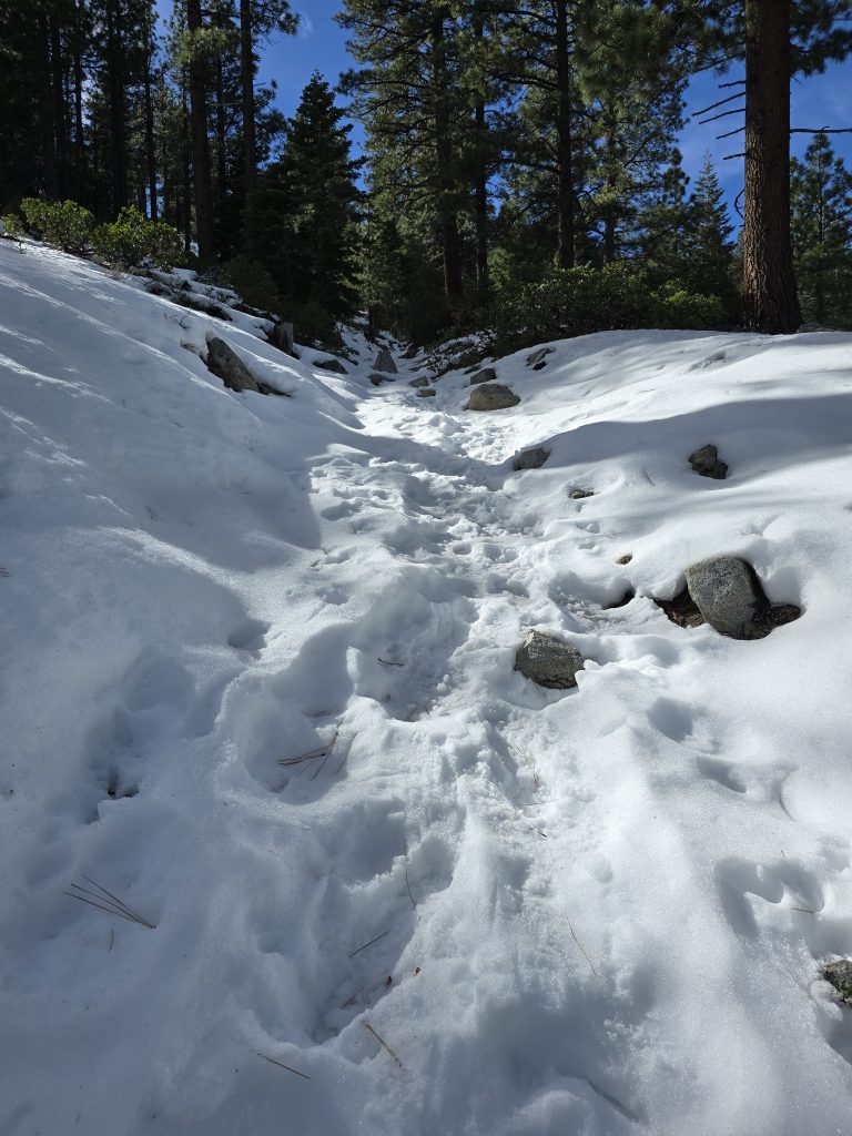 Snow-covered Ophir Creek Trail