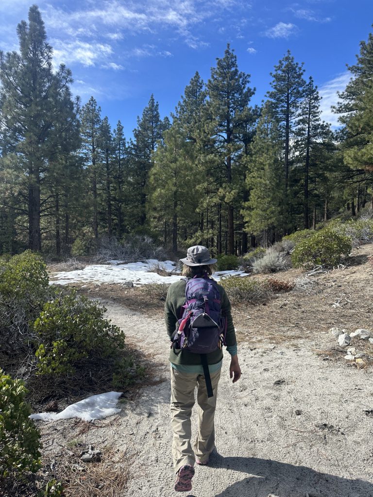 Hiking on Ophir Creek Trail