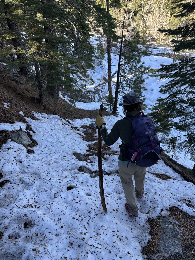 Winter hiking cross-country with a large walking stick near Ophir Creek Trail