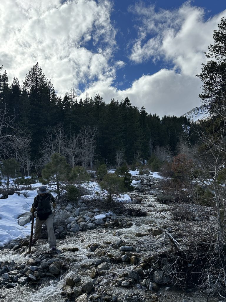 Crossing Ophir Creek with a walking stick