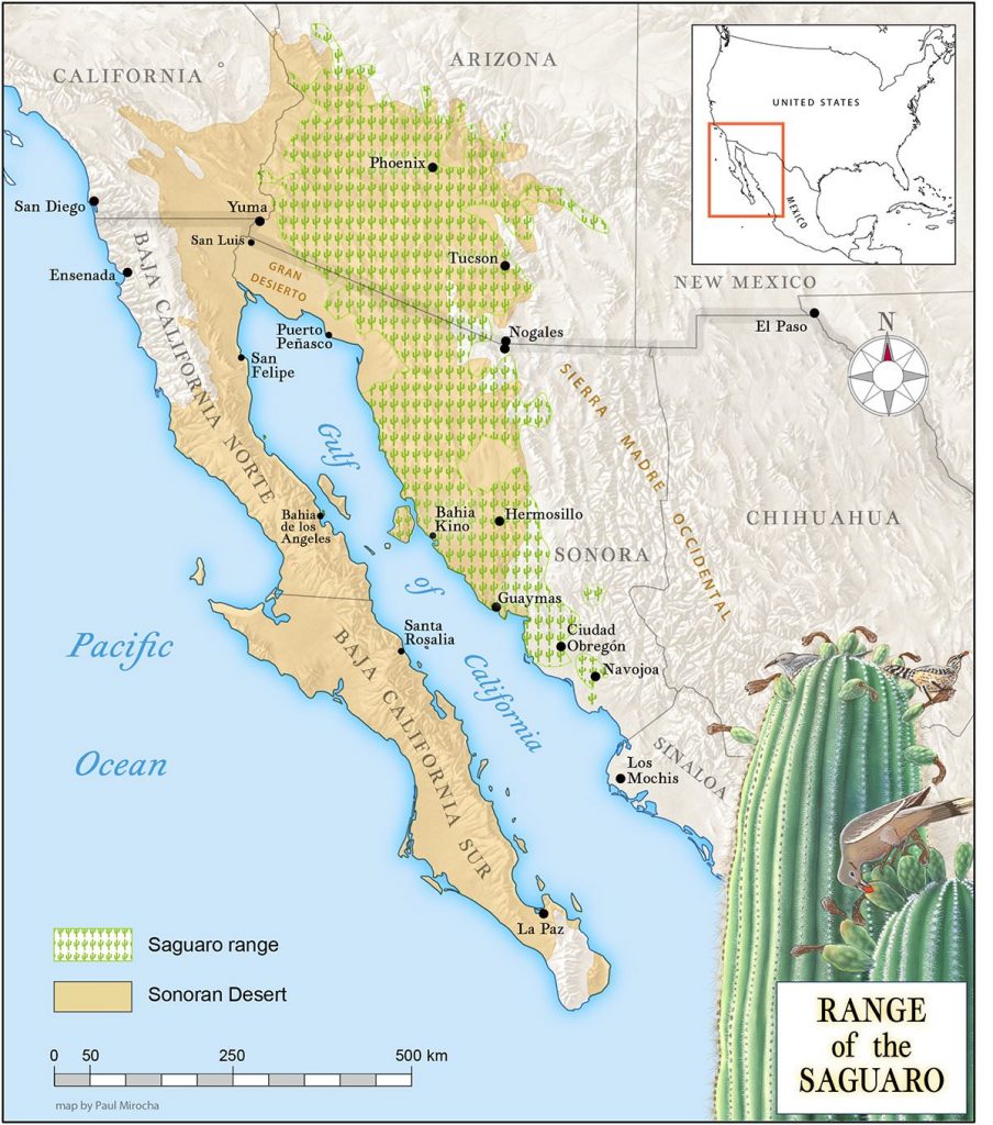 Sonoran Desert and saguaro cactus range map