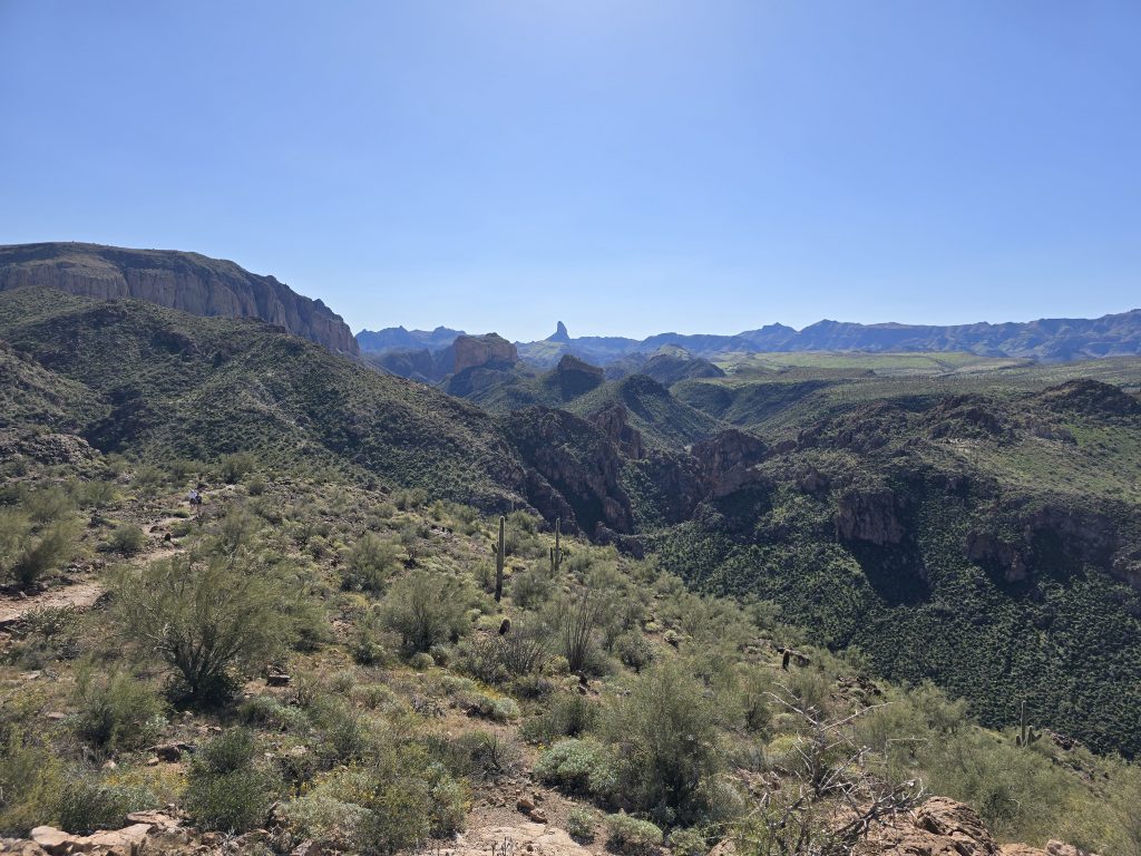 Desert views from the Boulder Canyon hike, including Weavers Needle rock formation