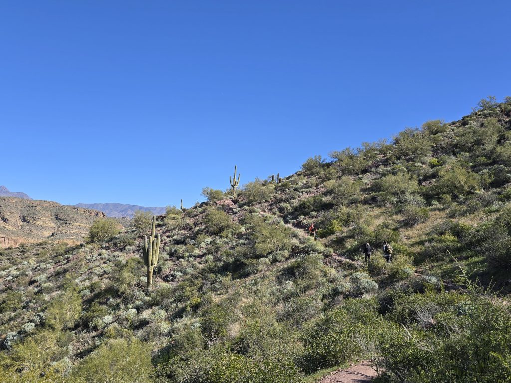 A section of ascending trail on the Boulder Canyon hike