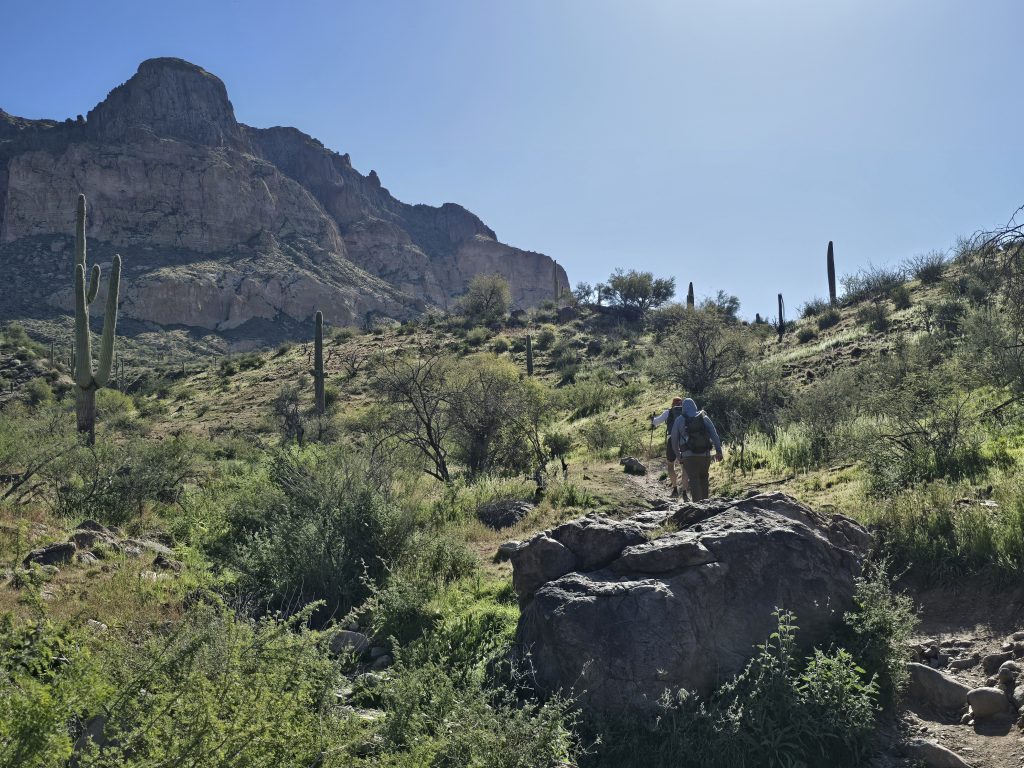 Hiking on the Picketpost Mountain Loop Hike