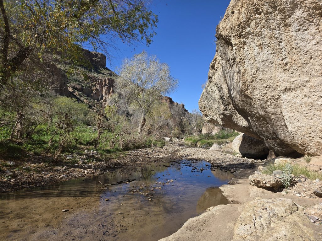 Arnett Creek in Arnett Canyon on the Picketpost Mountain Loop hike in Arizona