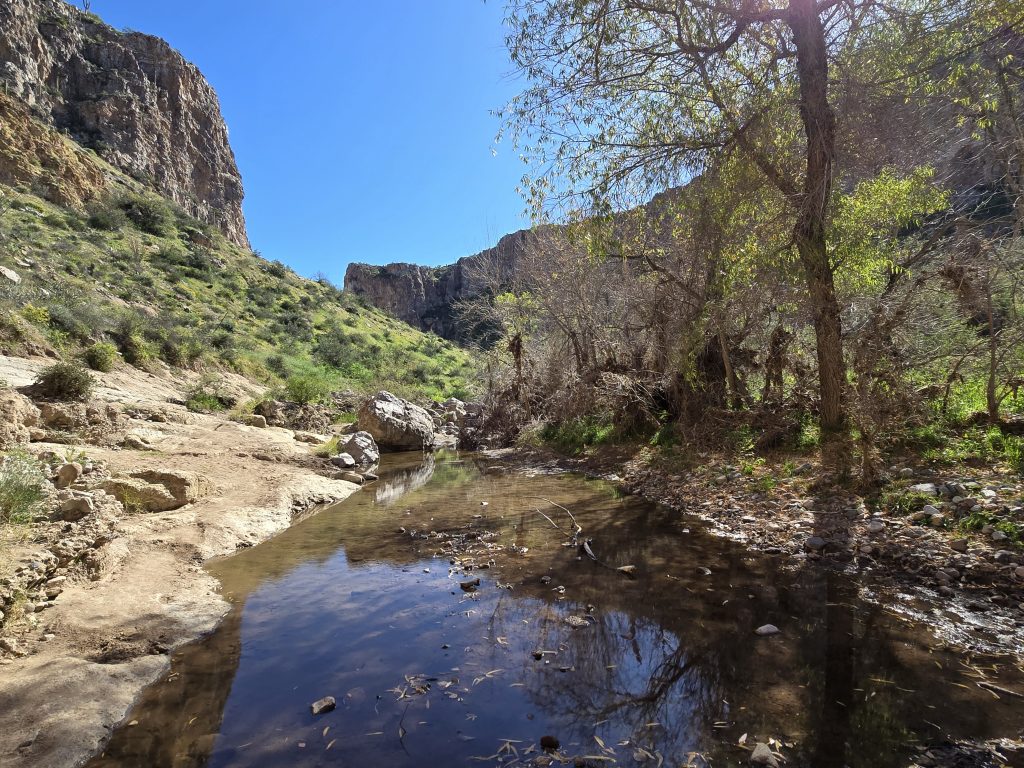 Arnett Creek in Arnett Canyon on the Picketpost Mountain Loop hike in Arizona