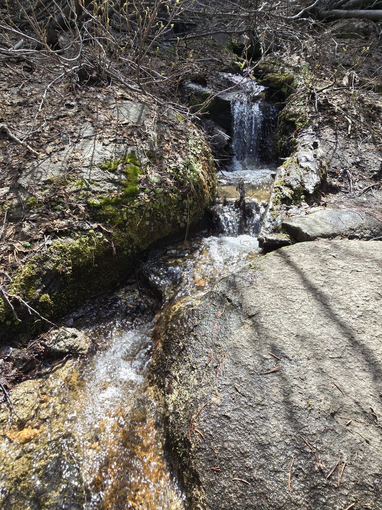 Creek cascades along the Van Sickle Rim Trail in Van Sickle Bi-State Park