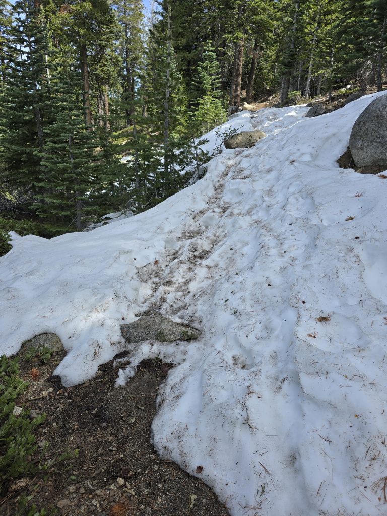 Snowy trail section of Van Sickle Rim Trail in Van Sickle Bi-State Park
