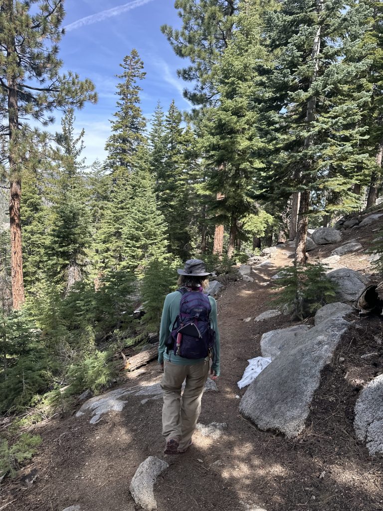 Forested section of Van Sickle Rim Trail in Van Sickle Bi-State Park